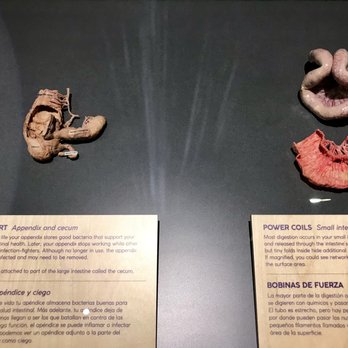 The Tech Interactive - Museums Near Me - San Jose, California