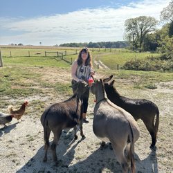 Donkeytown Turner Farms - The fun never ends!