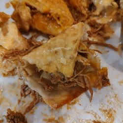 Alejandro's @ Front Street Station - Shredded chicken???