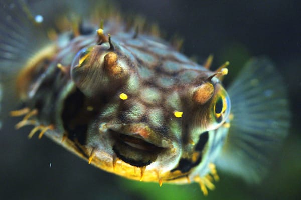 La Rochelle Aquarium by null