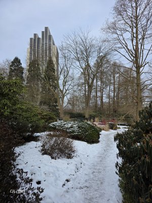 Planten un Blomen by null