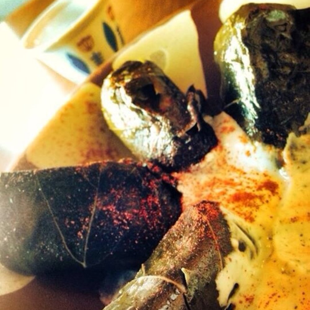 Paprika Cafe - Dolmas - Mediterranean Near Me - Monterey, California