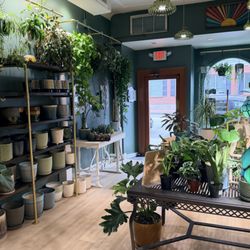 Potter’s Green & Gift - A view of the interior of Potter's Green & Gift.