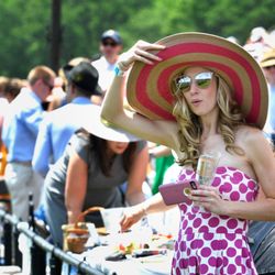 Volunteer State Horsemen's Foundation - Party at the annual Iroquois Steeplechase in Nashville's Percy Warner Park. #TNSteeplechase