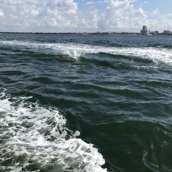 Encounter With Dolphins - Boating Near Me - Clearwater, Florida Encounter With Dolphins - Boating Near Me - Clearwater, Florida