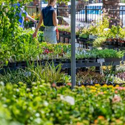 Moon Valley Nurseries