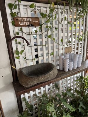 The Byron Bay General Store by null