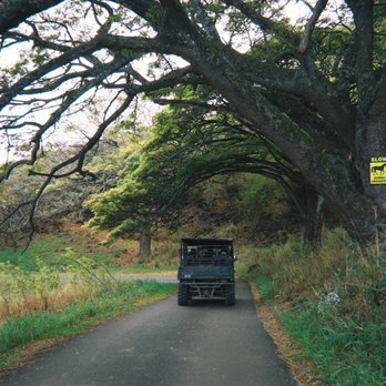 Kualoa Ranch - UTV tour - Tours Near Me - Kaneohe, Hawaii Kualoa Ranch - UTV tour - Tours Near Me - Kaneohe, Hawaii
