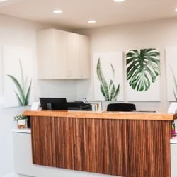 Bay Park Dental Group