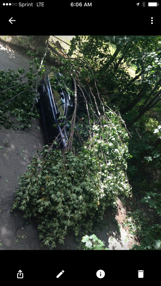 THE HOARDER BROTHERS OF NEW ENGLAND Updated September 2024 14