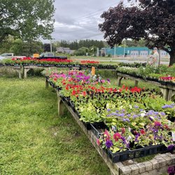 Silver Spring Farm Market - Spring, May 2024
