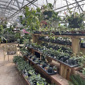 The Greenhouse - Nurseries & Gardening Near Me - Norman, Oklahoma The Greenhouse - Nurseries & Gardening Near Me - Norman, Oklahoma