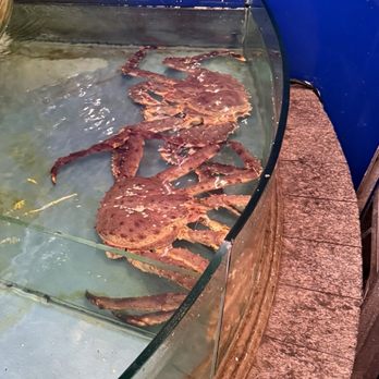 Asian Pearl Kitchen - Big crab! - Dim Sum Near Me - Richmond, California Asian Pearl Kitchen - Big crab! - Dim Sum Near Me - Richmond, California