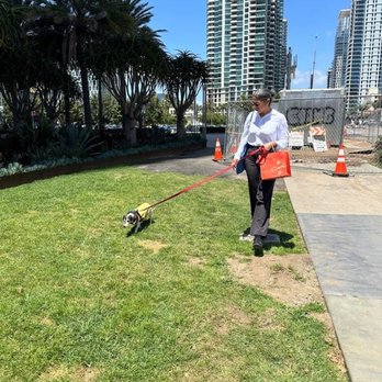 Precious Pet Care - Anel walking Leon - Pet Sitting Near Me - San Diego, California