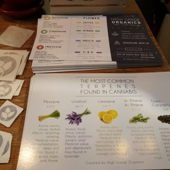 Green Earth Medicine-Bend - Massage Therapy Near Me - Bend, Oregon Green Earth Medicine-Bend - Massage Therapy Near Me - Bend, Oregon