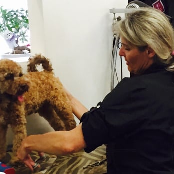 Raubtierstube - Pet Groomers Near Me - Munich, BY