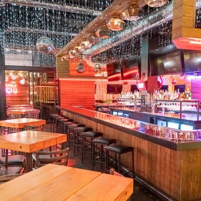 Paradise Park | Pizza & Patio by null