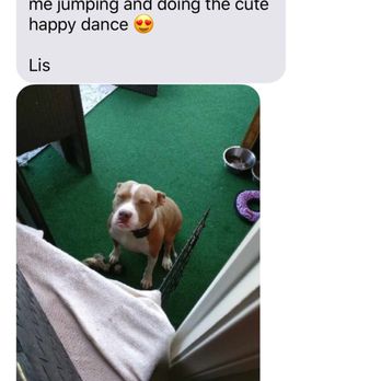 Pet Matters - Dog Walkers Near Me Pet Matters - Dog Walkers Near Me