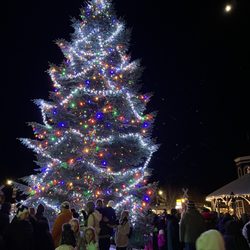 Railroad Park & Centennial Log Pavilion - Lit up
