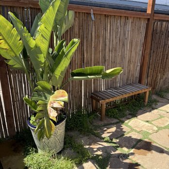 Ice Pass - Bench in the shade - Saunas Near Me - Santa Monica, California Ice Pass - Bench in the shade - Saunas Near Me - Santa Monica, California