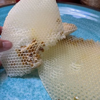 AA-Beekeeper Live Bee Removal - Honeycomb - Pest Control Near Me AA-Beekeeper Live Bee Removal - Honeycomb - Pest Control Near Me
