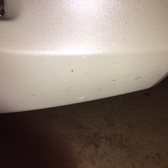 Onix Auto - Some are rock chips and some are bug residue. - Auto Detailing Near Me