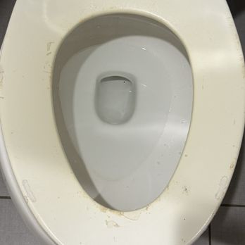 Super 8 by Wyndham Rochester - The toiled seat was DISGUSTING. - Hotels Near Me - Rochester, Indiana Super 8 by Wyndham Rochester - The toiled seat was DISGUSTING. - Hotels Near Me - Rochester, Indiana