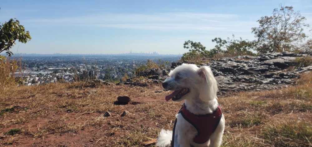 Slide of Davids Art Werkz