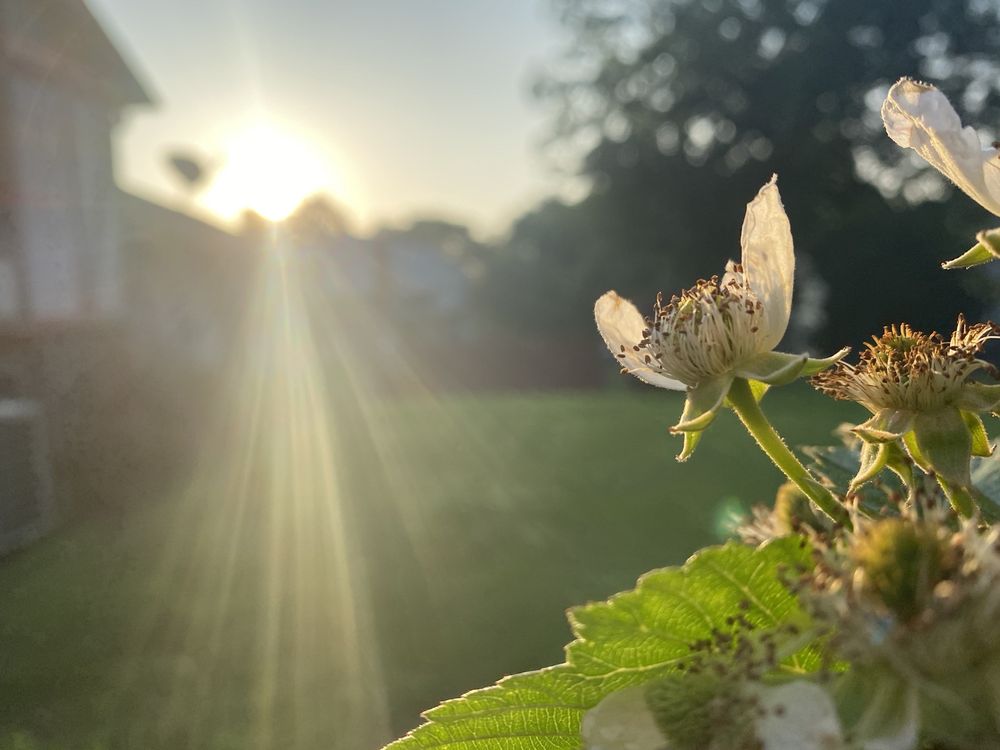 City Ranch - equestrian in Indianapolis, IN