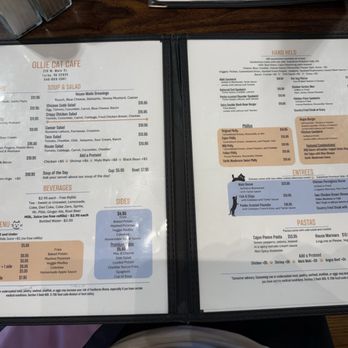 Ollie Cat Cafe - American Near Me - Luray, Virginia Ollie Cat Cafe - American Near Me - Luray, Virginia