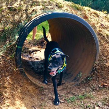 Rover's Ridge - Dog Parks Near Me - White House, Tennessee Rover's Ridge - Dog Parks Near Me - White House, Tennessee
