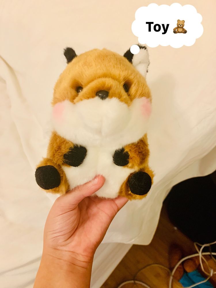 ASIAN LANTERN FESTIVAL CLEVELAND ZOO 160 Photos 19 Reviews 3900 asian-lantern-festival-cleveland-zoo-160-photos-19-reviews-3900