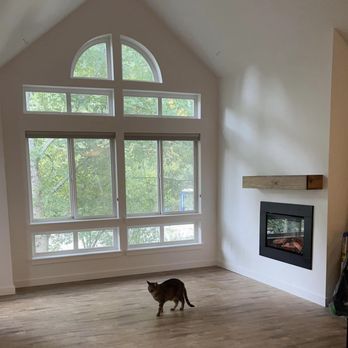 Camgenuity - a cat walking in a living room - General Contractors Near Me Camgenuity - a cat walking in a living room - General Contractors Near Me