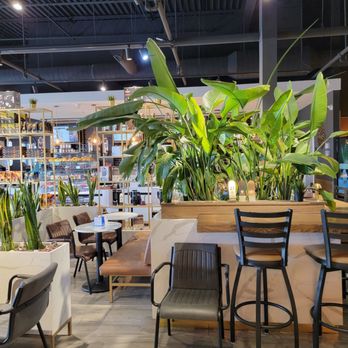 Marouf Cafe - Cafes Near Me - Orland Park, Illinois