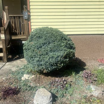 Howells & Son Improvements - Tree Services Near Me - Tamaqua, Pennsylvania Howells & Son Improvements - Tree Services Near Me - Tamaqua, Pennsylvania