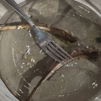 LÝRA - Greek Near Me - Chicago, Illinois