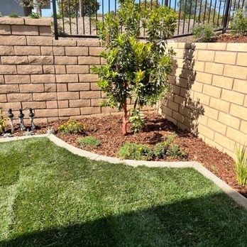 Mike Muscarella Landscaping - Corner of yard. - Landscaping Near Me - Camarillo, California