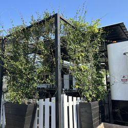 Diego's Food Truck - Outdoor seating