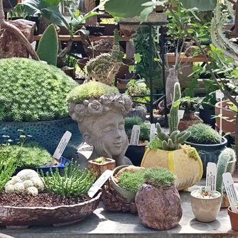 California Cactus Center - Nurseries & Gardening Near Me - Pasadena, California California Cactus Center - Nurseries & Gardening Near Me - Pasadena, California