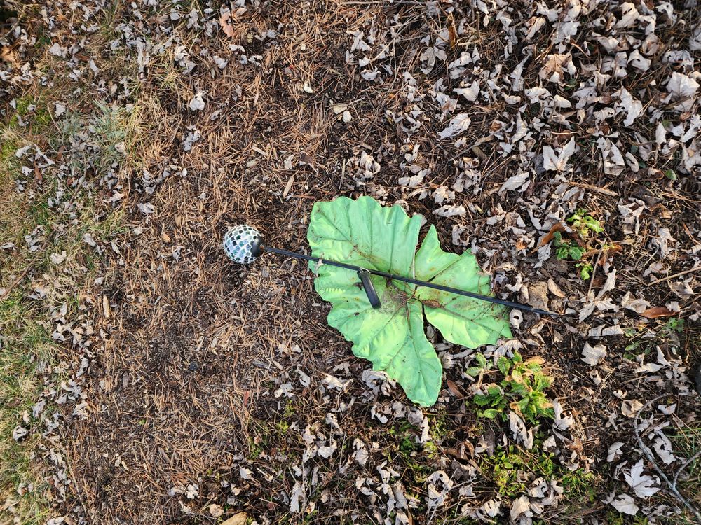 Val's Tree Service - tree service in Saint Louis, MO