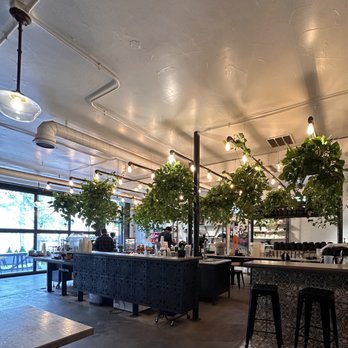 Aviano Coffee - Coffee & Tea Near Me - Denver, Colorado Aviano Coffee - Coffee & Tea Near Me - Denver, Colorado