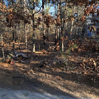 Champion Tree Work - BEFORE CHAMPION TREEWORK AND BOBCAT SERVICES CAME - LOTS OF OVERGROWTH AND VINES - Tree Services Near Me - Yarmouth Port, Massachusetts