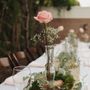 Tulipan Studio