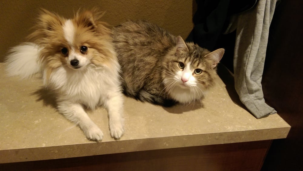 DAKOTA PRAIRIE VETERINARY SERVICE Updated June 2024 3651 89th Ave