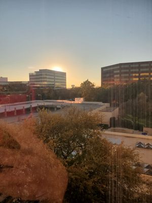 Dallas/Addison Marriott Quorum by the Galleria by null