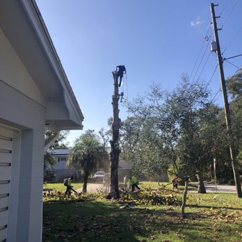 Sunset Tree Care - Tree climber - Tree Services Near Me Sunset Tree Care - Tree climber - Tree Services Near Me