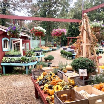 DePaul’s Urban Farm - Christmas Trees Near Me - Vienna, Virginia DePaul’s Urban Farm - Christmas Trees Near Me - Vienna, Virginia