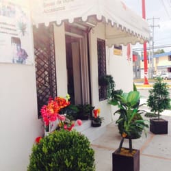 Chapomart - Flores artificiales