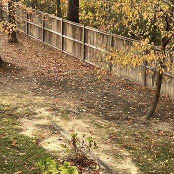 Lopez Tree Services - Tree after. - Tree Services Near Me - Alexandria, Virginia Lopez Tree Services - Tree after. - Tree Services Near Me - Alexandria, Virginia