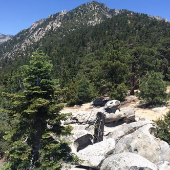 South Ridge Trail - Incredible view - Hiking Near Me - Idyllwild-Pine Cove, California South Ridge Trail - Incredible view - Hiking Near Me - Idyllwild-Pine Cove, California